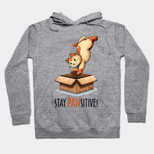 Stay Pawsitive Funny Cat Hoodie